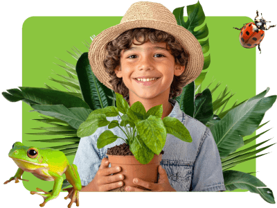 🌳 Semana Ambiental